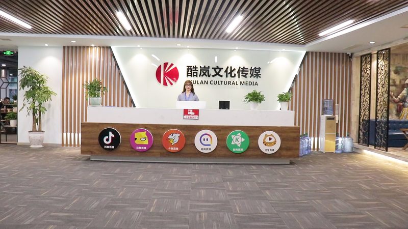 短视频拍摄设备十大品牌排名：揭秘行业翘楚背后的技术秘密