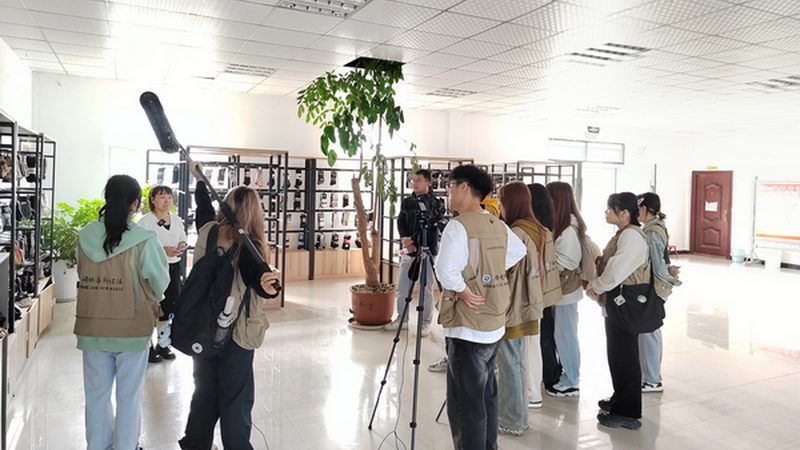 影视级三维建模软件，报价背后的价值考量