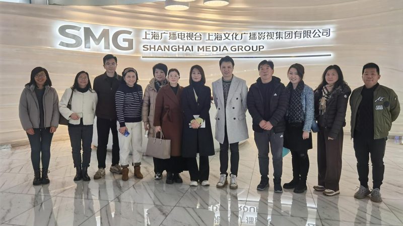 媒介投放模型参数选择：关键因素与实操要点