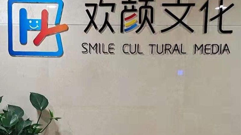 影视制作加盟：揭秘流程与关键要点